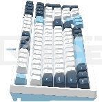 Клавиатура A4Tech Fstyler FS300 (FS300 PANDA SNOWBOARDING) проводная, USB, белый/синий, фото9