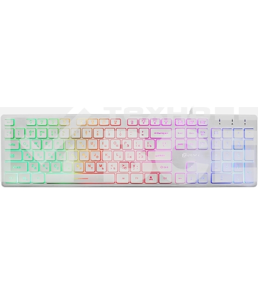 Клавиатура проводная Oklick 550ML 1061618, USB, белый