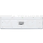 Клавиатура проводная Oklick 550ML 1061618, USB, белый, фото4