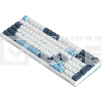 Клавиатура A4Tech Fstyler FS300 (FS300 PANDA SNOWBOARDING) проводная, USB, белый/синий, фото6