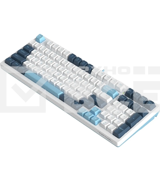 Клавиатура A4Tech Fstyler FS300 (FS300 PANDA SNOWBOARDING) проводная, USB, белый/синий