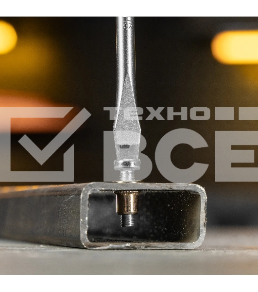 Заклепки резьбовые Denzel стальные, оцинкованные, М5, пластиковый кейс, 100 шт.