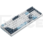 Клавиатура A4Tech Fstyler FS300 (FS300 PANDA SNOWBOARDING) проводная, USB, белый/синий, фото5