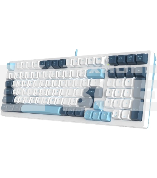 Клавиатура A4Tech Fstyler FS300 (FS300 PANDA SNOWBOARDING) проводная, USB, белый/синий