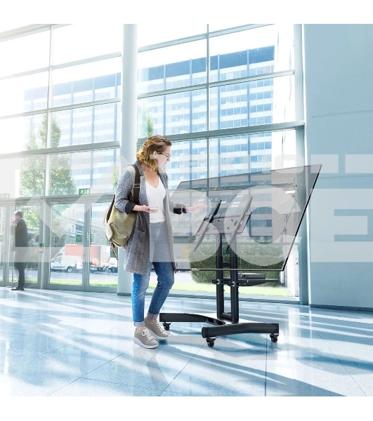 Стойка для телевизора с кронштейном ONKRON 32'-70', мобильная, черная TS1350