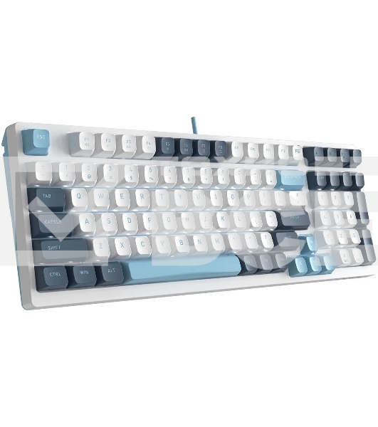 Клавиатура A4Tech Fstyler FS300 (FS300 PANDA SNOWBOARDING) проводная, USB, белый/синий