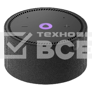 Устройство Умного Дома YANDEX YNDX-00021K SPEAKER MINI 2.0 BLACK