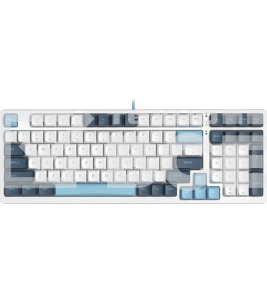 Клавиатура A4Tech Fstyler FS300 (FS300 PANDA SNOWBOARDING) проводная, USB, белый/синий