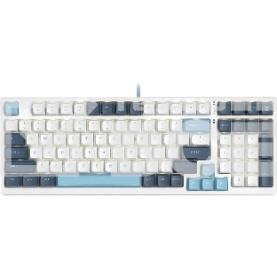 Клавиатура A4Tech Fstyler FS300 (FS300 PANDA SNOWBOARDING) проводная, USB, белый/синий