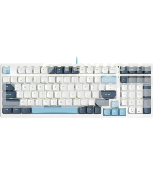 Клавиатура A4Tech Fstyler FS300 (FS300 PANDA SNOWBOARDING) проводная, USB, белый/синий