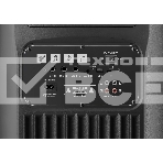 Портативная колонка Defender Boomer 200, фото4