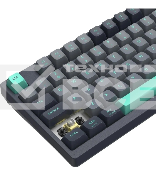 Клавиатура A4Tech Fstyler FS300 механическая черный/серый USB for gamer LED (FS300 PANDA ROCK)