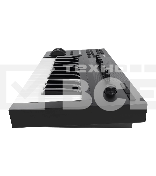 Клавиатура MIDI [25230] Native Instruments [KOMPLETE KONTROL A25] 25 клавиш, полувзвешенная, 8 ручек управления, колеса высоты тона и модуляции, 4-позиционный энкодер, OLED-дисплей, TRS-вход для педали, USB-порт