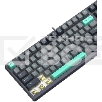 Клавиатура A4Tech Fstyler FS300 механическая черный/серый USB for gamer LED (FS300 PANDA ROCK), фото14
