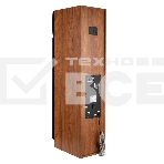 Акустическая система ELTRONIC (30-58) HOME SOUND - колонка 10