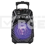 Аудиосистема NATIONAL NSM-V100, фото 1