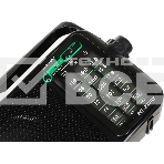 Радиоприемник портативный Сигнал РП-233BT черный USB microSD, фото13