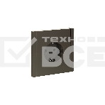 Розетка СП FORTE&PIANO FP315 16А с заземл. защ. шторки винт. крепл. сер. IEK FP-R14-16-K03, фото 1