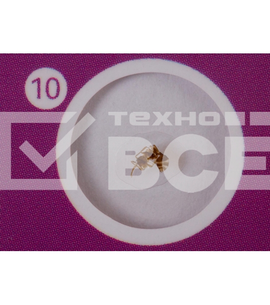 Набор микропрепаратов Levenhuk LABZZ CP24, существа и растения (72870)