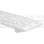Клавиатура Oklick 305M (1875227) проводная, USB, белый, фото3