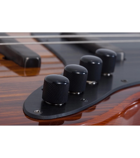 Бас-гитара SCHECTER J-4 EXOTIC FVSB