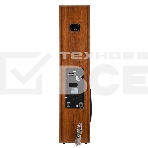 Акустическая система ELTRONIC (30-58) HOME SOUND - колонка 10