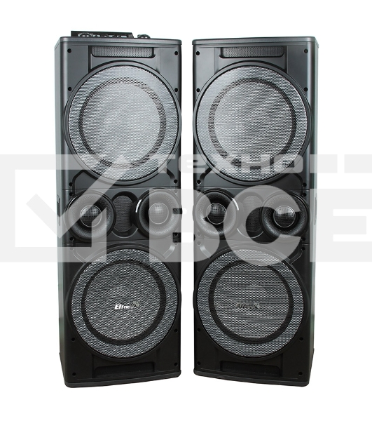 Колонка Eltronic 12' 20-06 TWIN BOX динамик 4шт/12' комплект 2 колонки