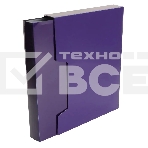 Папка с 80 прозр.вклад. Бюрократ DeLuxe DLVBOX80BBERRY A4 пластик 0.7мм черничный в коробе, фото 1
