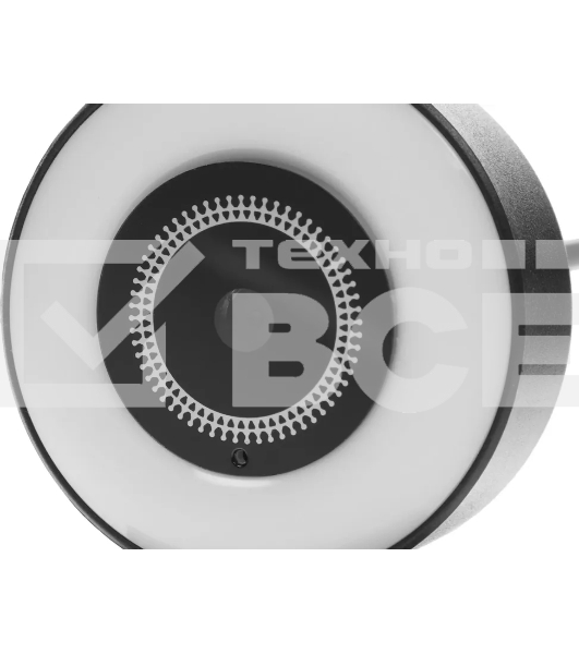 Веб-камера Ritmix RVC-250 2592x1944, 30 кадр/с, USB Type-A, микрофон, автоматическая фокусировка, универсальное крепление