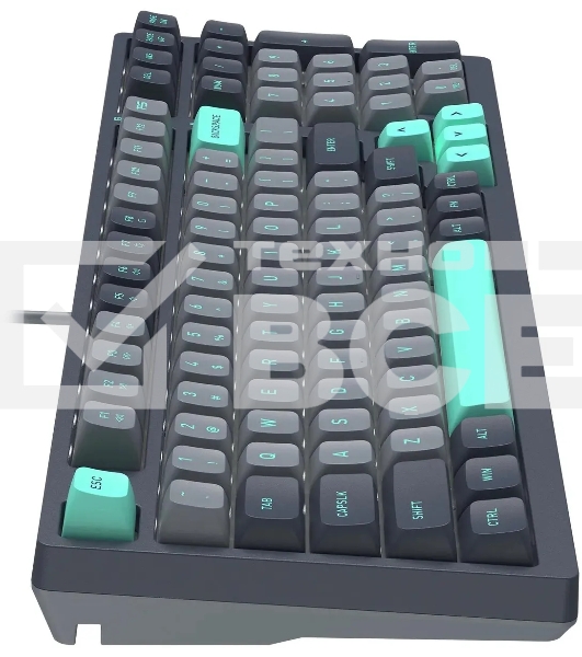 Клавиатура A4Tech Fstyler FS300 механическая черный/серый USB for gamer LED (FS300 PANDA ROCK)