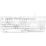 Клавиатура Oklick 305M (1875227) проводная, USB, белый, фото9