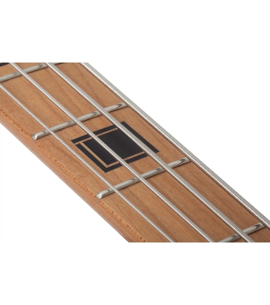 Бас-гитара SCHECTER J-4 EXOTIC FVSB