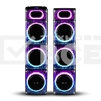 Колонка ELTRONIC 10