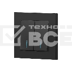 Выключатель Intro Accent 6-105-05 двойн. с подсветкой 10А-250В IP20 СУ AL/CU антрацит Б0063516, фото3