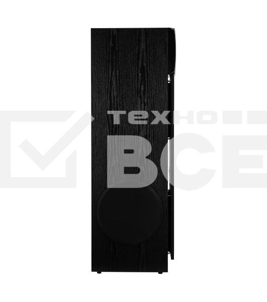 Акустическая система ELTRONIC (30-58) HOME SOUND - колонка 10