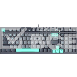 Клавиатура A4Tech Fstyler FS300 механическая черный/серый USB for gamer LED (FS300 PANDA ROCK)