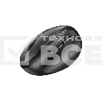 Мышь беспроводная Genius Genius Ergo 8350S /Вертикальная/бесшумная/1200-1600-2400 dpi/BlueEye/6 кнопок/USB-приемник/Bluetooth+2,4 ГГц/батарея AA/темно-серый (31030041400), фото2