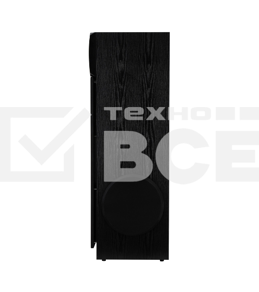 Акустическая система ELTRONIC (30-58) HOME SOUND - колонка 10