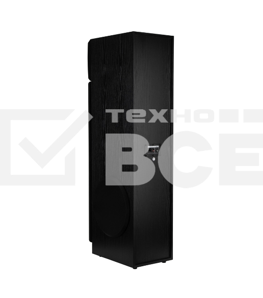 Акустическая система ELTRONIC (30-58) HOME SOUND - колонка 10