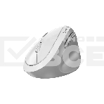 Мышь беспроводная Genius Genius Ergo 8350S /Вертикальная/бесшумная/1200-1600-2400 dpi/BlueEye/6 кнопок/USB-приемник/Bluetooth+2,4 ГГц/батарея AA/бело-серый (31030041401), фото3
