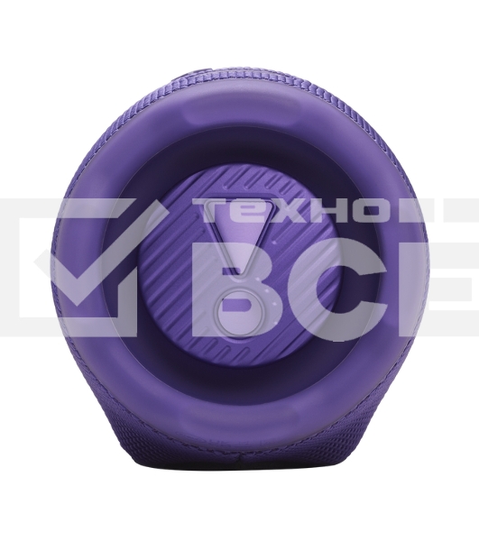 Портативная акустика JBLCHARGE6PUR пурпурный