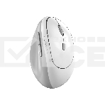 Мышь беспроводная Genius Genius Ergo 8350S /Вертикальная/бесшумная/1200-1600-2400 dpi/BlueEye/6 кнопок/USB-приемник/Bluetooth+2,4 ГГц/батарея AA/бело-серый (31030041401), фото4