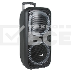Колонка Eltronic 08