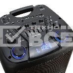 Колонка ELTRONIC 10