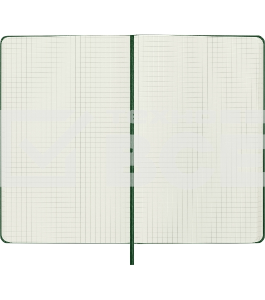 Блокнот Moleskine CLASSIC QP061K15 Large 130х210мм, 240 страниц, клетка, твердая обложка, зеленый