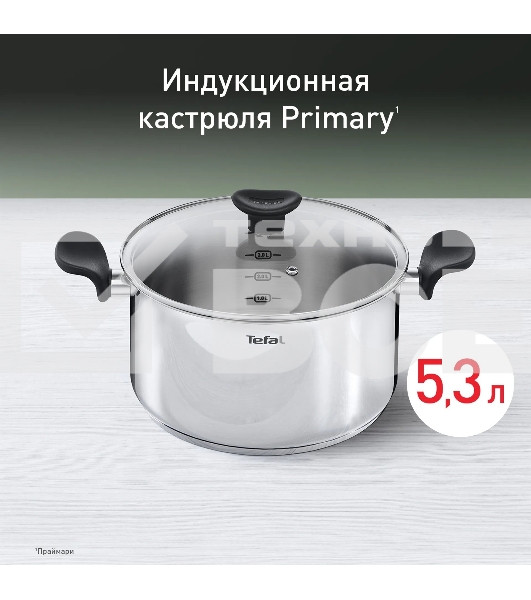 Кастрюля Tefal Primary E3084674 5.2 л. d=24 см (с крышкой) стальной (2100120958)