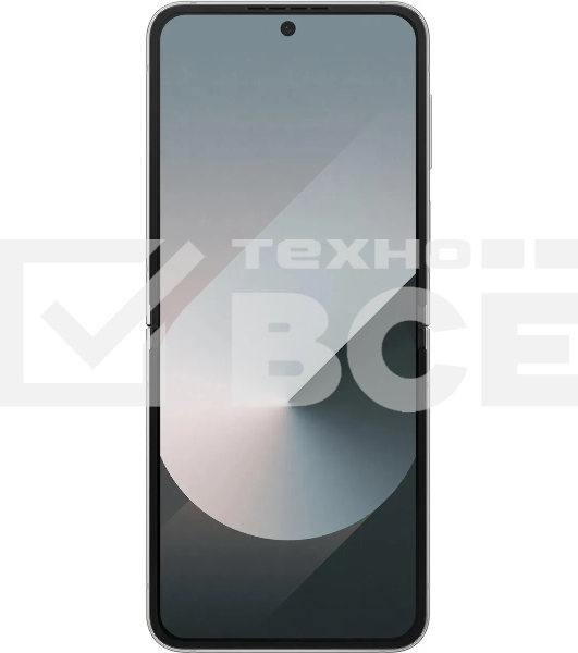 Смартфон Samsung Galaxy Z Flip 6 5G, 12/256Gb, серый