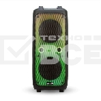Колонка ELTRONIC 10