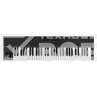 Клавиатура MIDI [25244] Native Instruments [KOMPLETE KONTROL A61] 61 клавиша, полувзвешенная, 8 ручек управления, колеса высоты тона и модуляции, 4-позиционный энкодер, OLED-дисплей, TRS-вход для педали, USB-порт