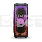 Колонка ELTRONIC 10